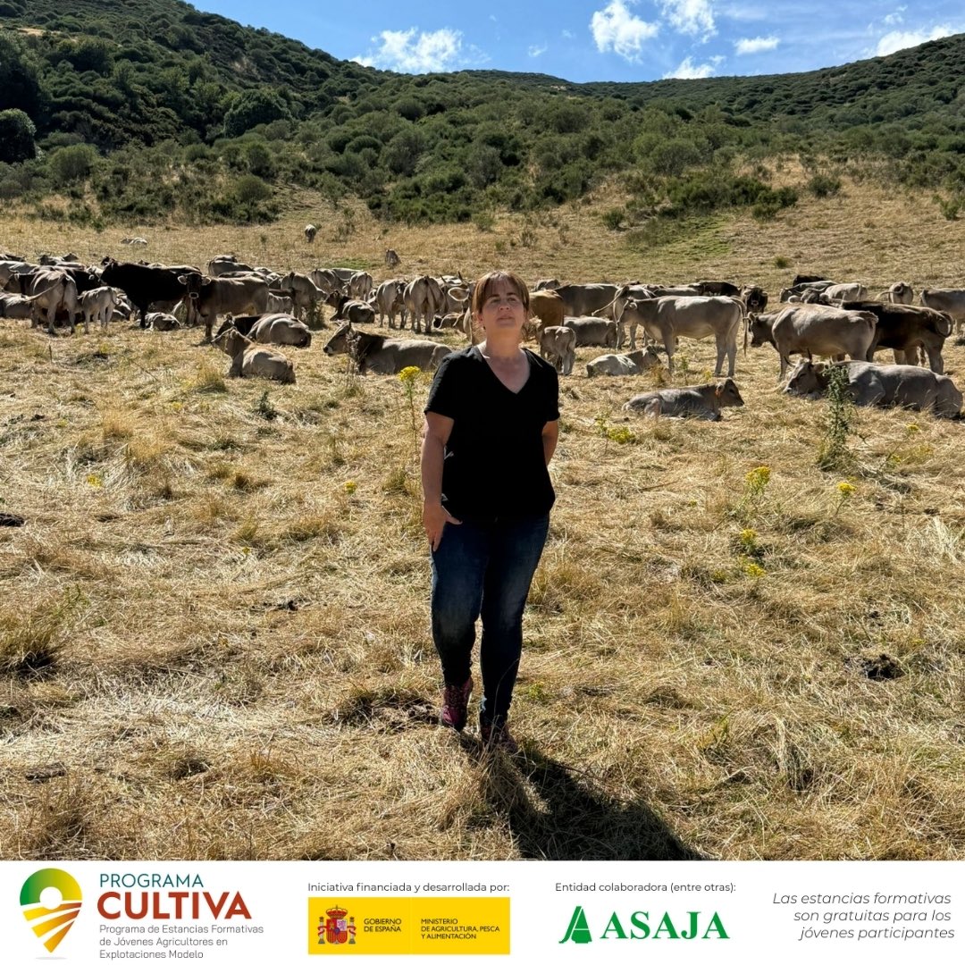 AsajaNacional's tweet image. Leticia aprende en una  🌱🐂 ganadería ecológica que apuesta por carne de calidad y razas autóctonas en📍 #MuriasDeParedes (#León) gracias al #ProgramaCULTIVA

🔗ow.ly/hJTT50VWioy  #Asaja
ow.ly/63rs50VWioz @gobmapa #FormacionGratuita