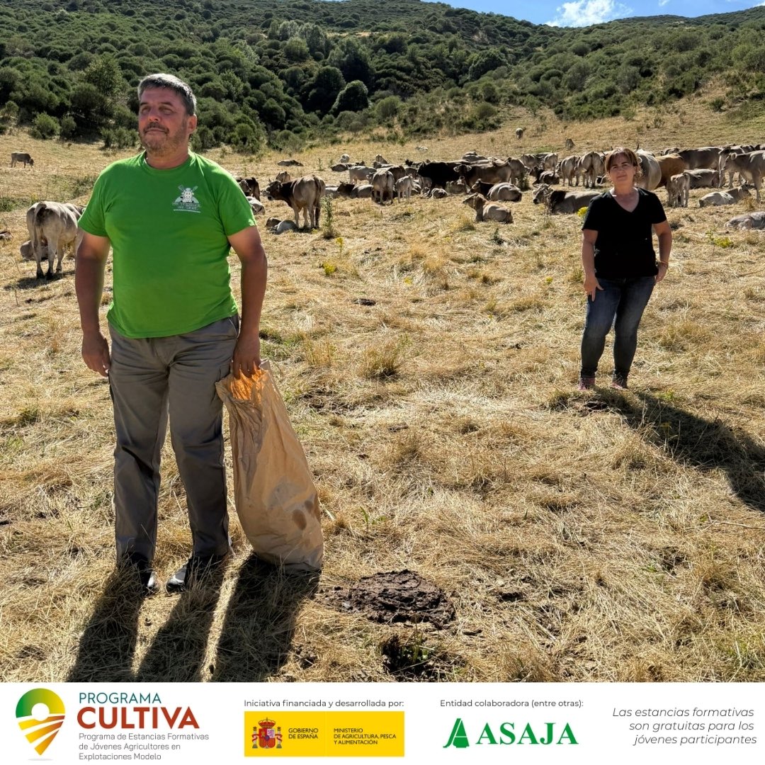 AsajaNacional's tweet image. Leticia aprende en una  🌱🐂 ganadería ecológica que apuesta por carne de calidad y razas autóctonas en📍 #MuriasDeParedes (#León) gracias al #ProgramaCULTIVA

🔗ow.ly/hJTT50VWioy  #Asaja
ow.ly/63rs50VWioz @gobmapa #FormacionGratuita