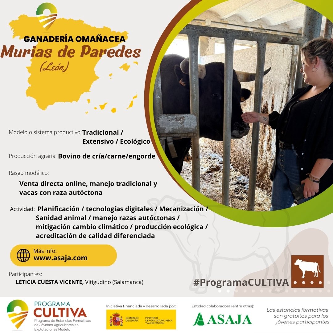 AsajaNacional's tweet image. Leticia aprende en una  🌱🐂 ganadería ecológica que apuesta por carne de calidad y razas autóctonas en📍 #MuriasDeParedes (#León) gracias al #ProgramaCULTIVA

🔗ow.ly/hJTT50VWioy  #Asaja
ow.ly/63rs50VWioz @gobmapa #FormacionGratuita