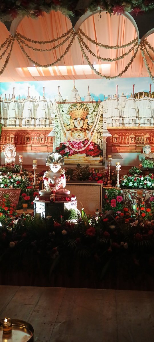 कमठे धरणेन्द्रे च, स्वोचितं कर्म कुर्वति। प्रभुस्तुल्य-मनोवृत्तिः, पार्श्वनाथः श्रियेऽस्तु  वः।।             
🙏🙏🙏