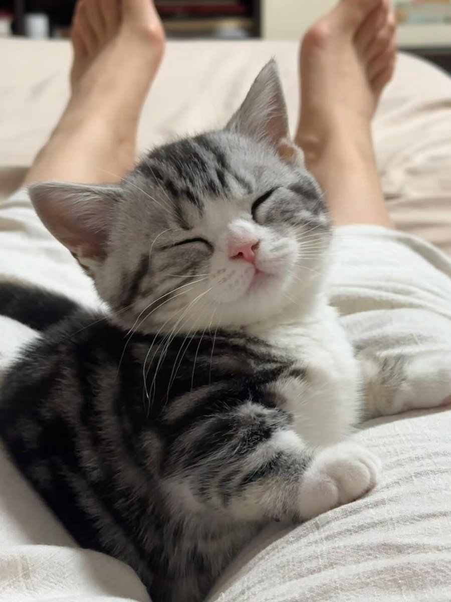 ☺️