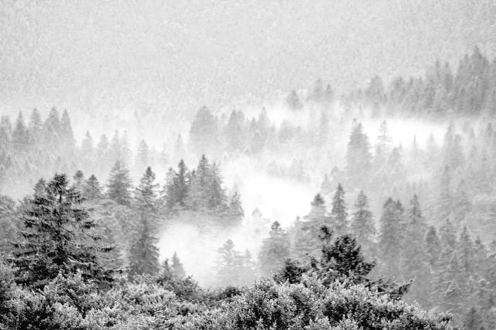 Bien le bonsoir des #HautesVosges