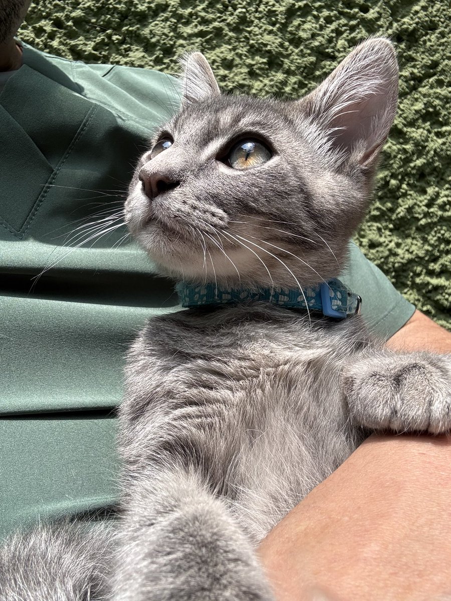 Tomando el sol en brazos, por qué bebé…