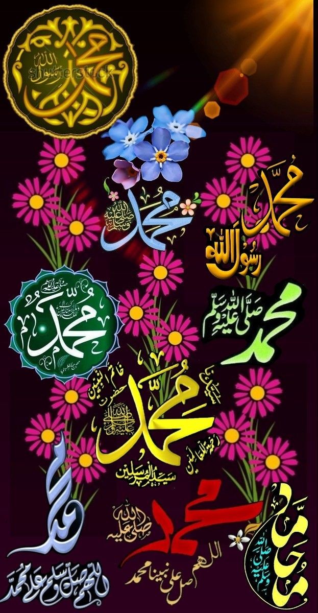 <a href="/d__aftab/">🇵🇰 AFTAB HUSSAIN M HASSNI brohi 🇵🇰</a> <a href="/monaalaama7940/">monaalaamad</a> <a href="/mamdouh63975414/">الفقير الي عفو ربه</a>