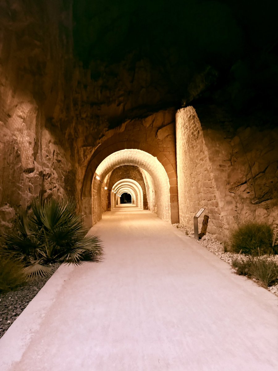 Porque siempre hay luz al final del túnel…

Sin prisa pero sin pausa….

La 4ª pieza del <a href="/FundLucentum/">𝗛𝗟𝗔 𝗔𝗟𝗜𝗖𝗔𝗡𝗧𝗘</a> regresa a la que fue su casa y donde me parece que fue muy feliz.

¿Dónde es?

Pd: Fotos realizadas por servidor.