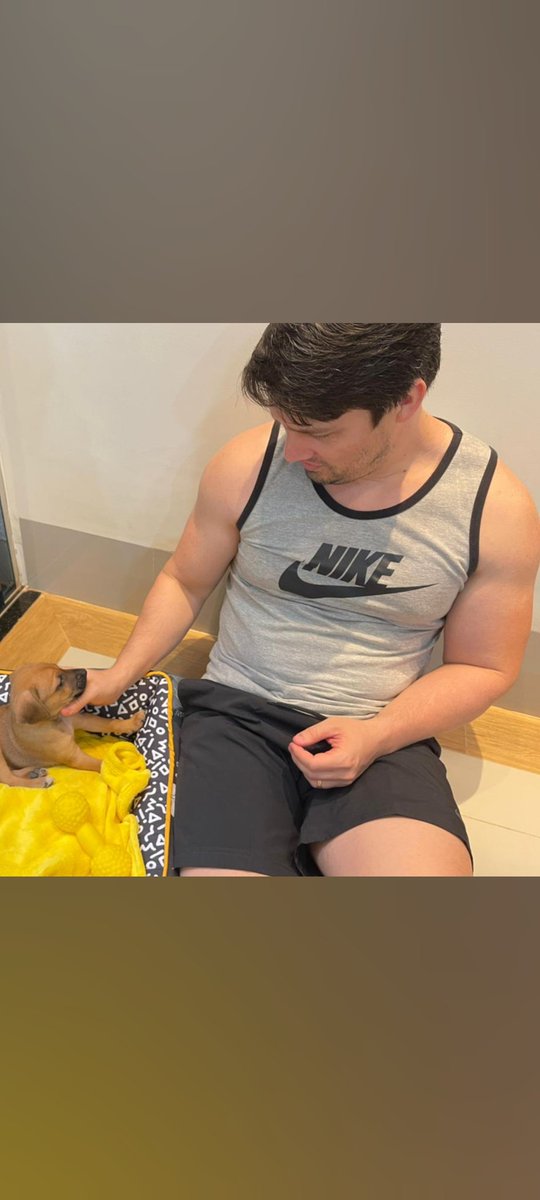 Bob Fernandes, feliz dia do Vira Lata.
Amo muito vc meu fiei companheiro.