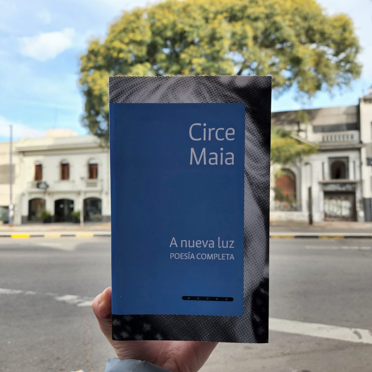 «A nueva luz: Poesía completa» de Circe Maia ya está disponible.
Una vida entera escrita con claridad, temblor y verdad. 📘 📚