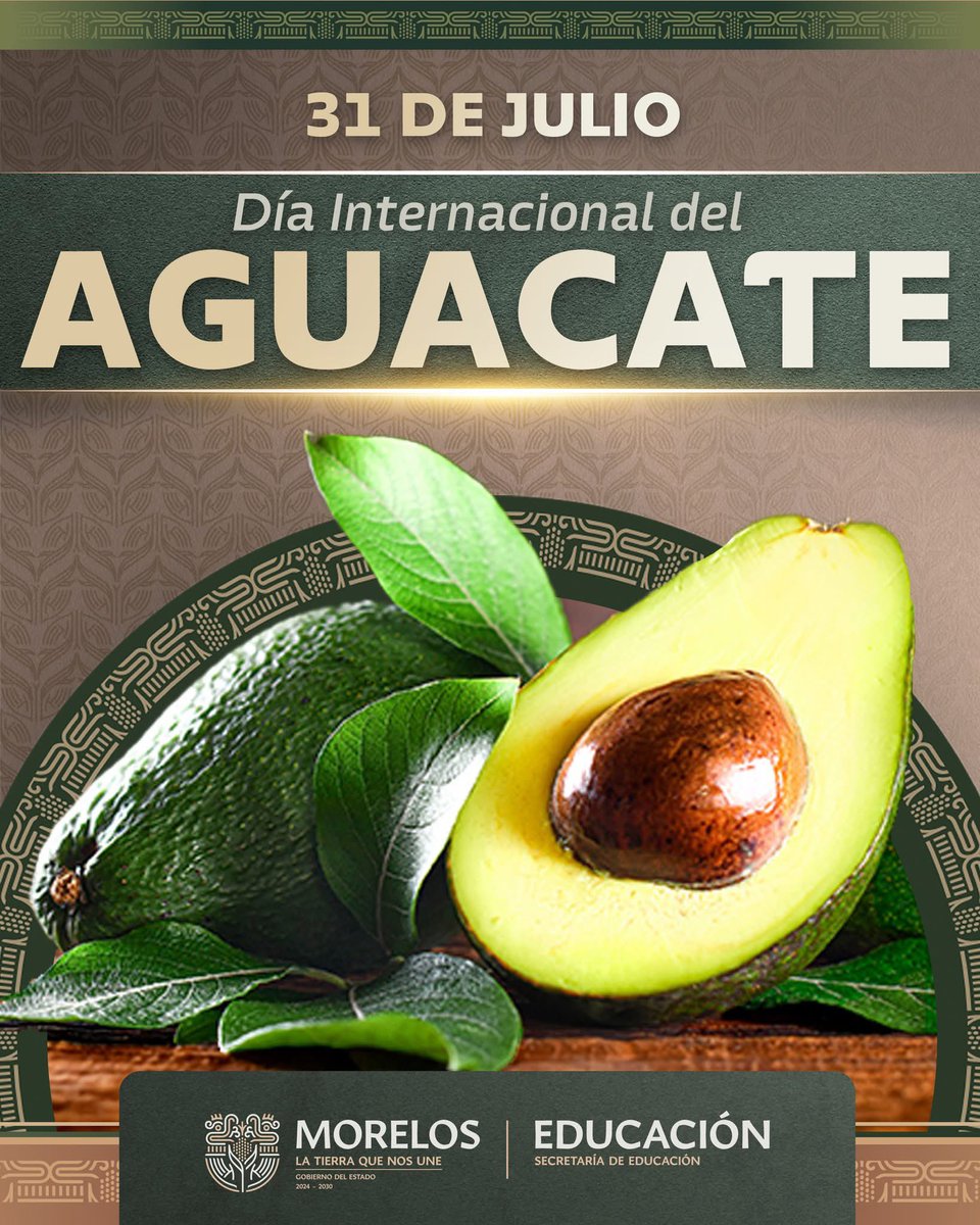🥑 ¡Día Internacional del Aguacate! 💚

En Morelos, municipios como Tetela del Volcán, Ocuituco, Zacualpan de Amilpas, Tlalnepantla y Totolapan, se destacan como grandes productores de este fruto reconocido por su gran sabor. 

#LaTierraQueNosUne #EducaciónMorelos