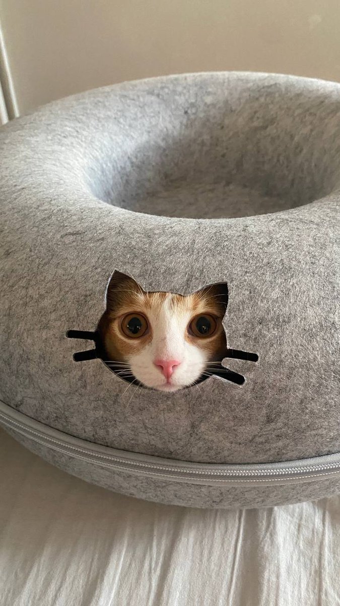 Что-то подсказать? Нужна подсказка?