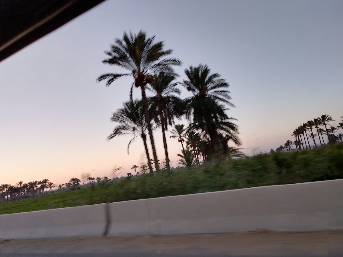 #تصويري