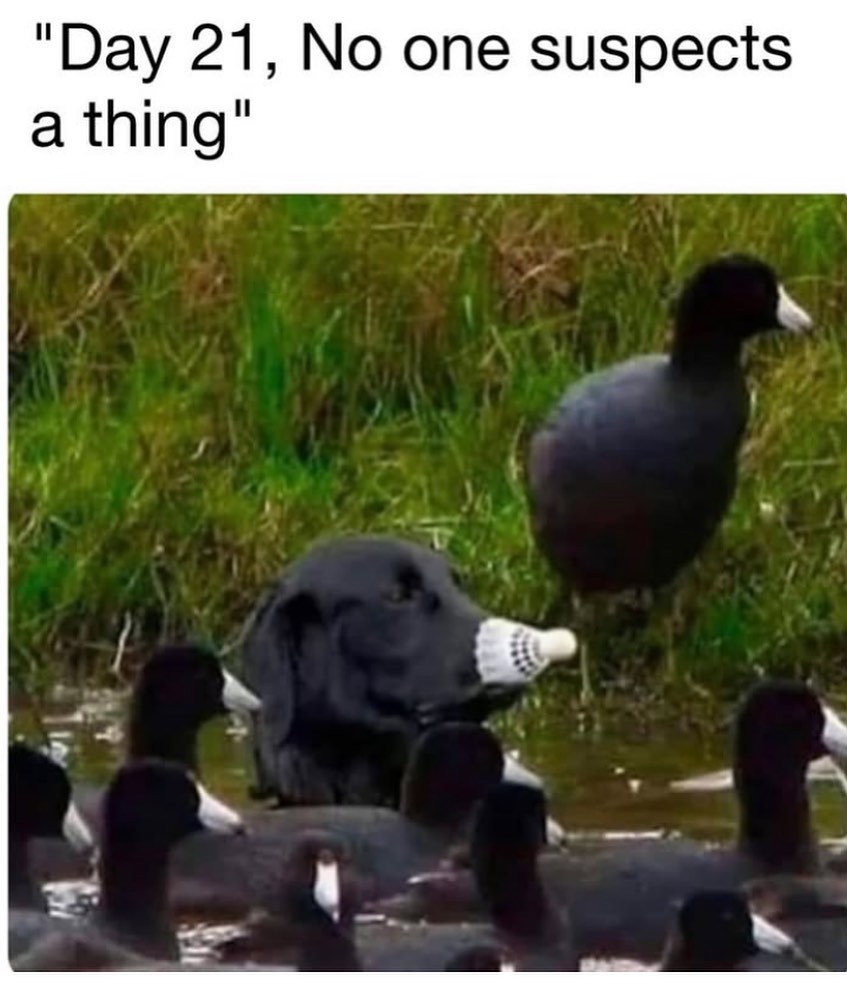 🤣🤣🤣🤣🤣🤣🤣🤣