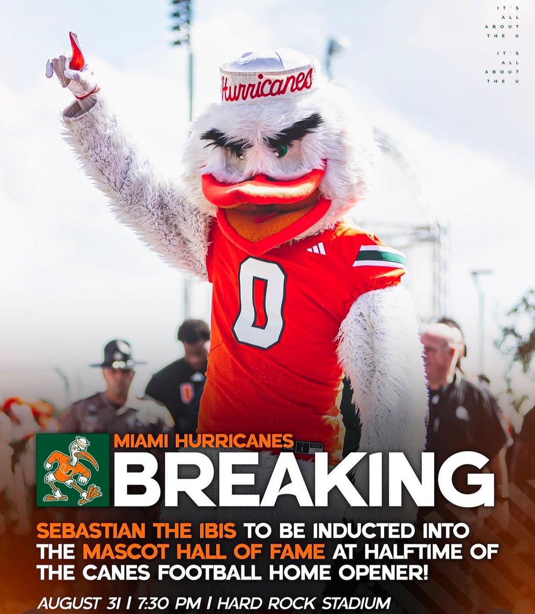 BREAKING NEWS for Our FAVORITE FEATHERED FRIEND!!! 🙌