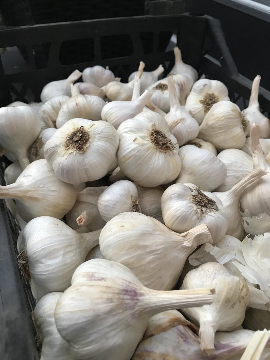 sad bez sale znaci jako sam ozbiljna trebam pomoc prijatelja dakle vas LUK MORAM DA RESIM imam gajbu x15 tako da PLIZ