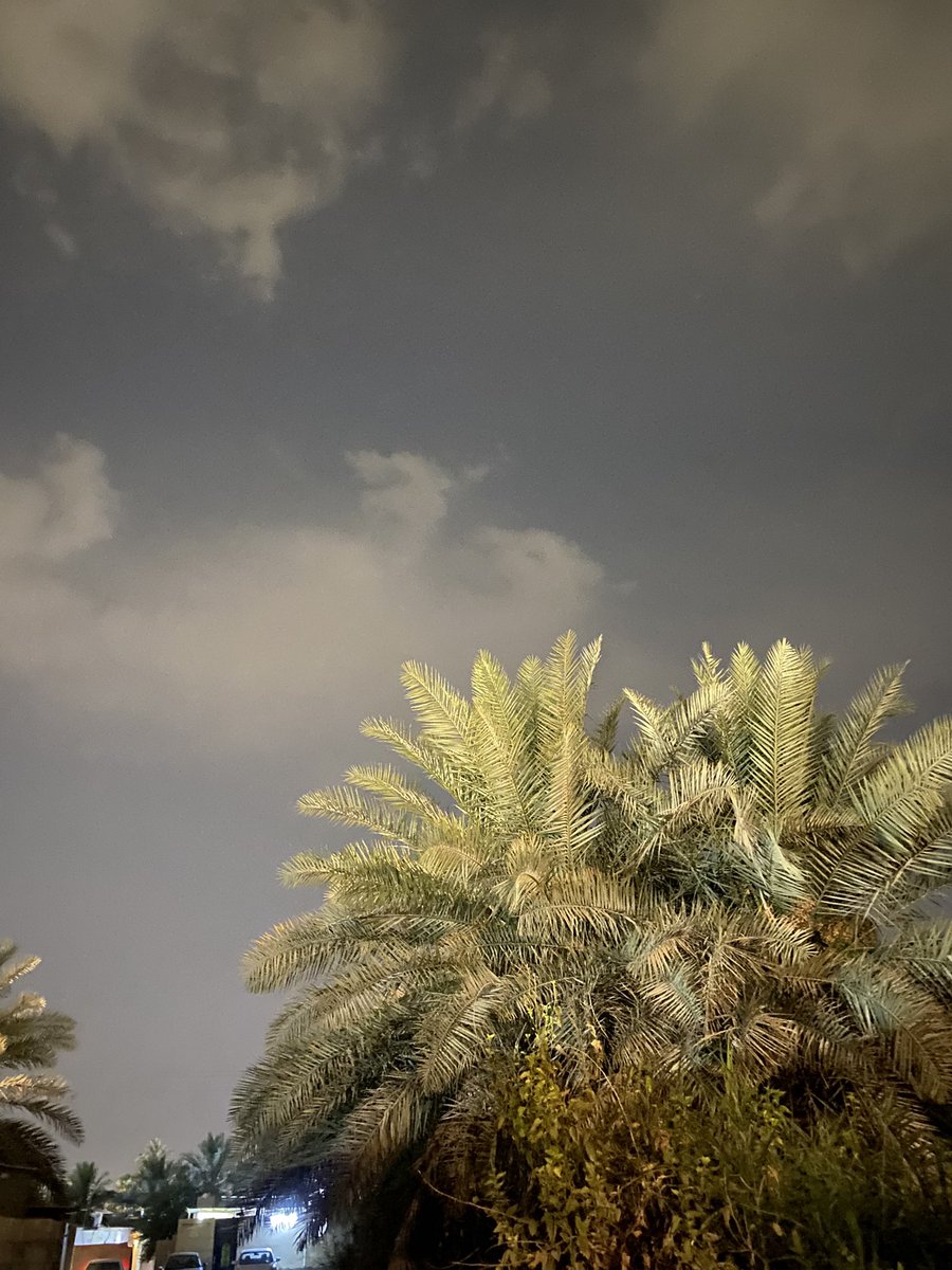 Eastern.Weatherطقس _الشرقية tweet media