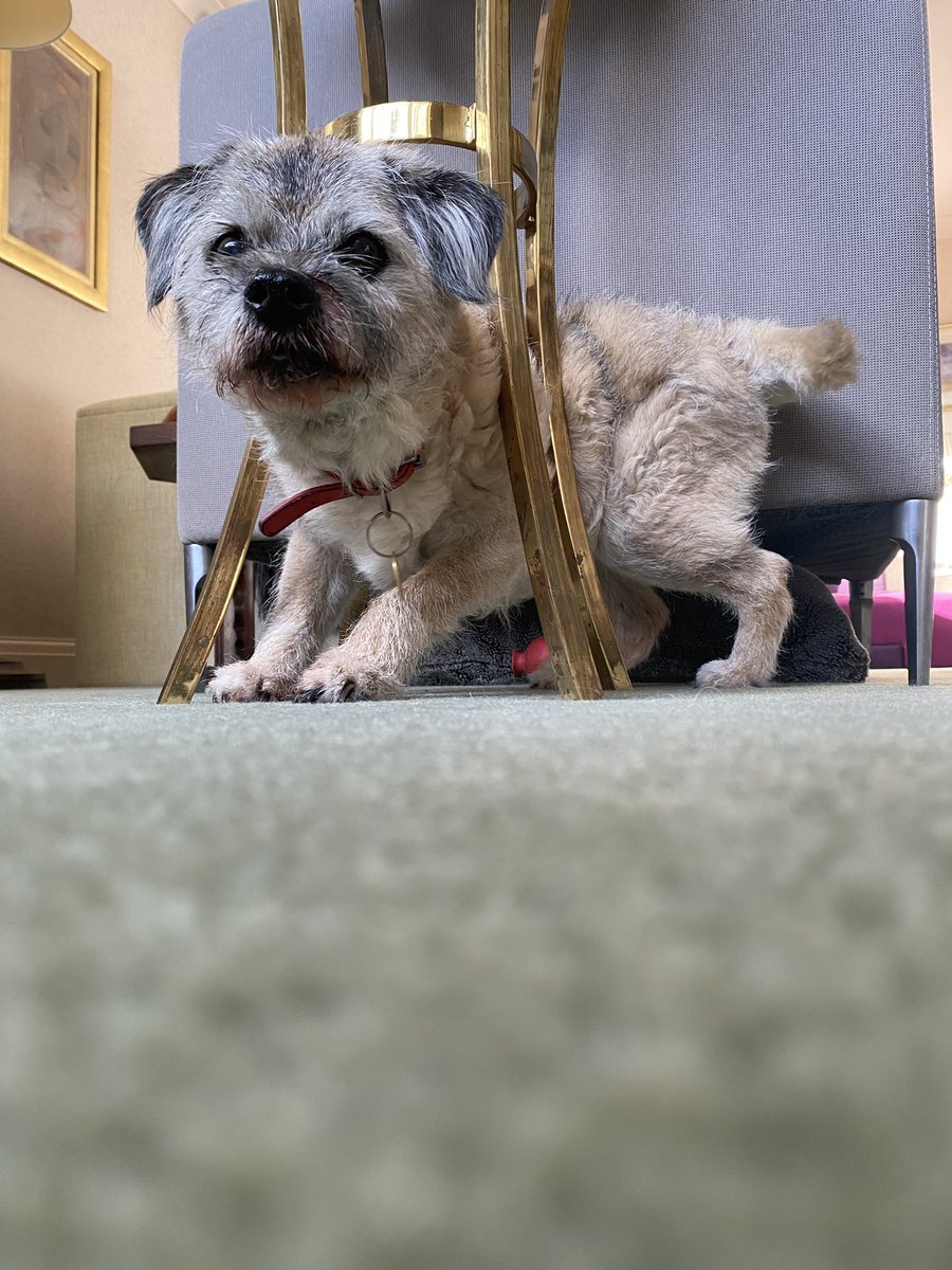 Mummy. … mummy is yoo fwee?… help needed… #BTPosse