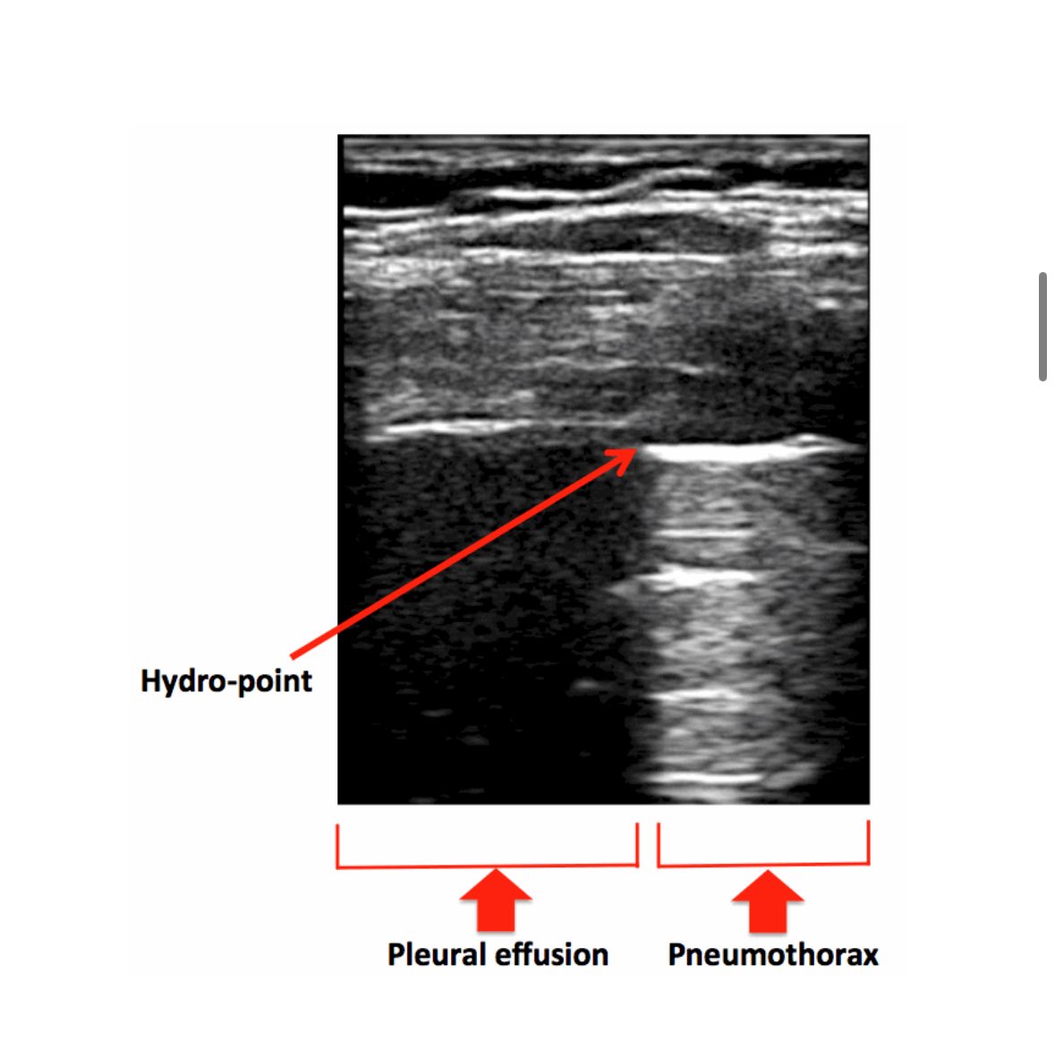 Facundo Rosso tweet media