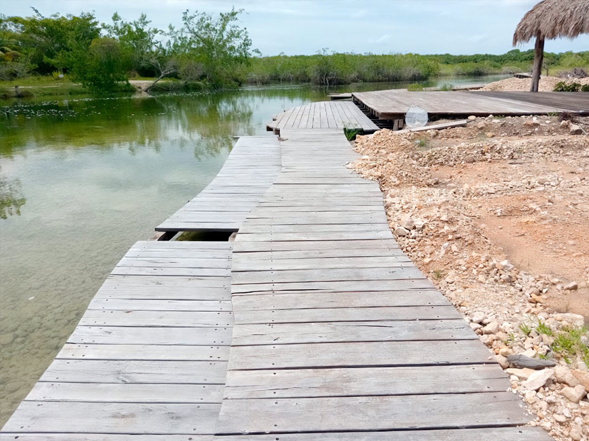 🚫 Clausuramos obras de construcción no autorizadas en el Estero de Chac, en Othón P. Blanco, Quintana Roo. 🏝️

Detectamos rellenos de humedal con sascab, tres palapas, una cabaña, baños y un muelle, sin contar con autorización en materia de impacto ambiental.

Seguiremos