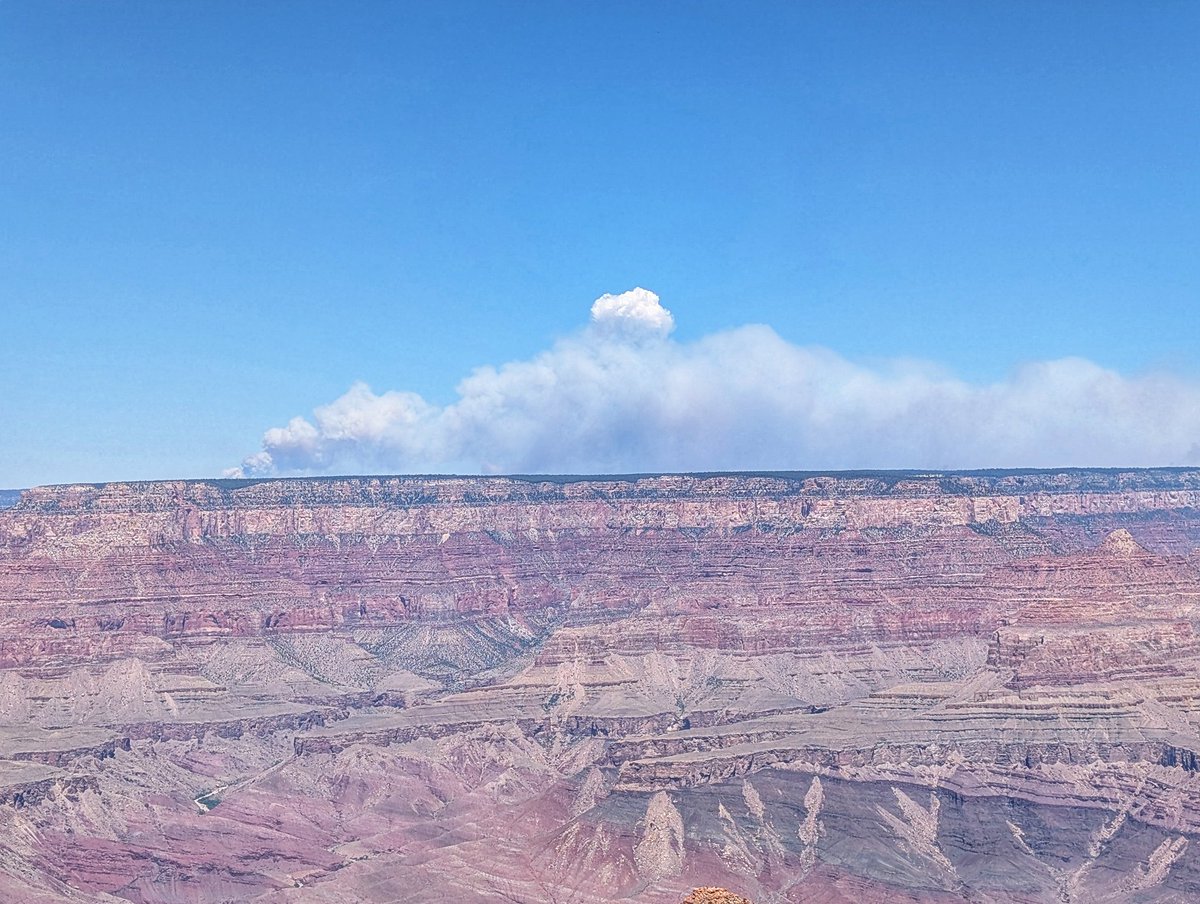 Jesse_Risley's tweet image. The #wildfires around the north rim of the #Grandcanyon are producing impressive #pyrocumulus clouds at times.
