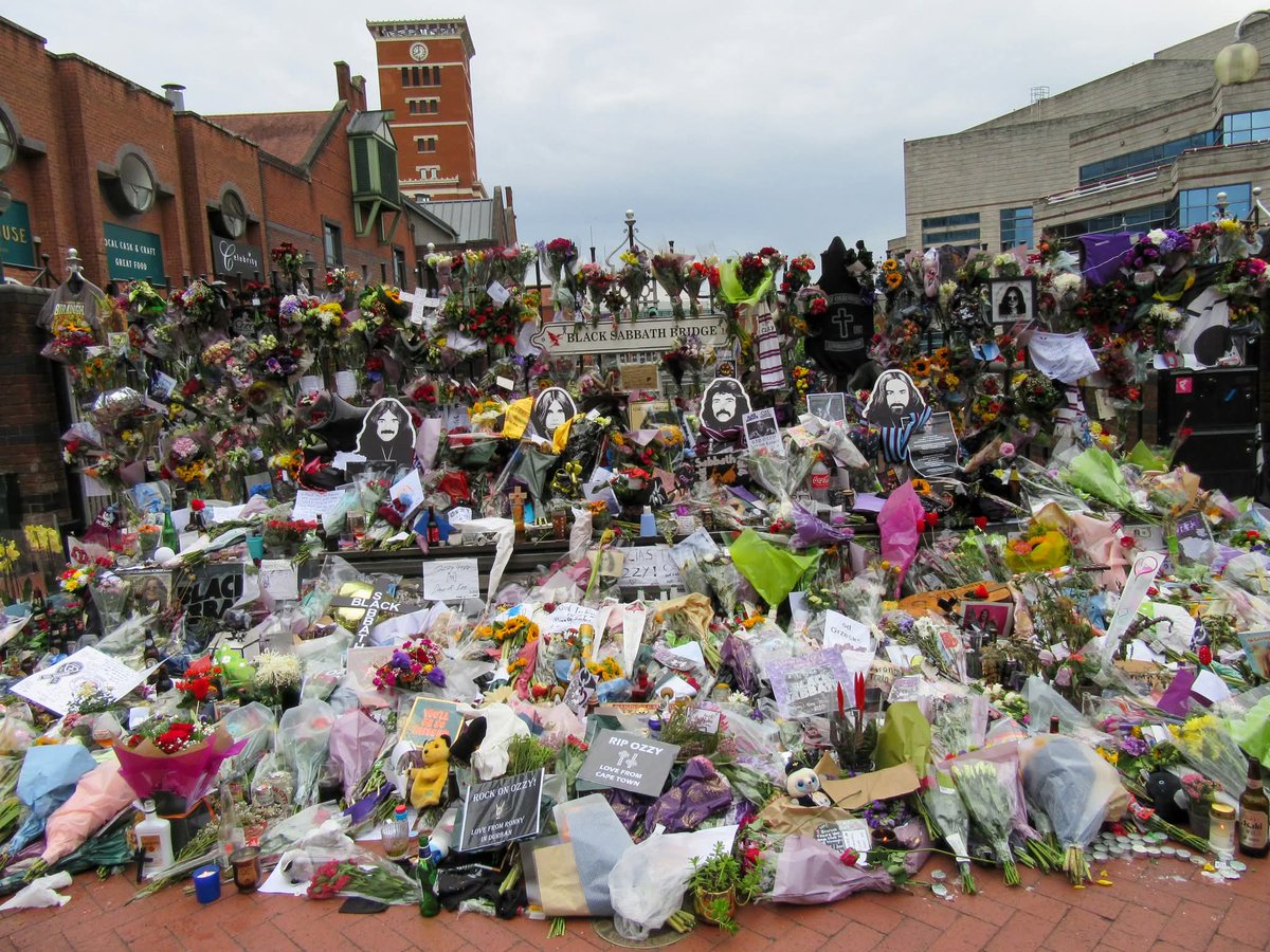 BigOWolves's tweet image. 