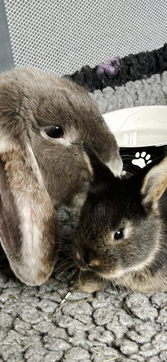 Ahhh look who came up in my memories ❤️❤️