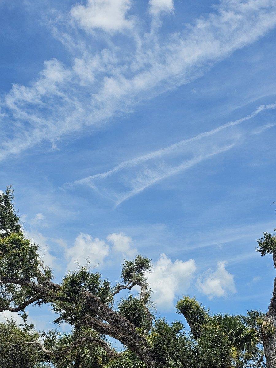 The trails were doing some interesting things today. Visibly affecting each other and growing huge!