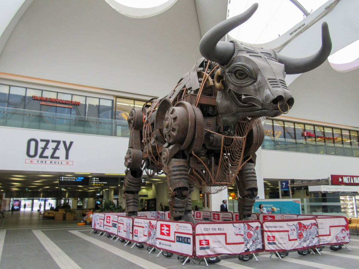 BigOWolves's tweet image. 