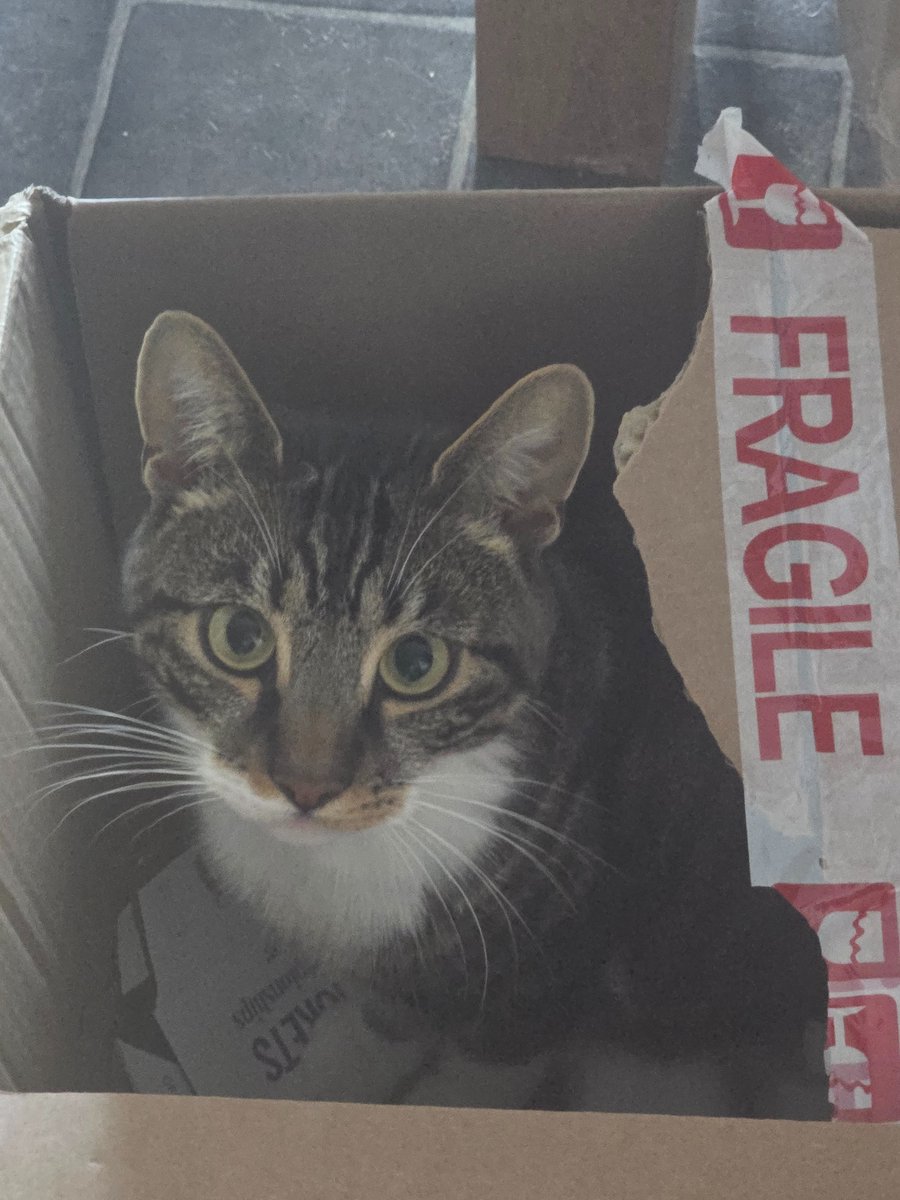 Handle with care! 🤣❤️🐾