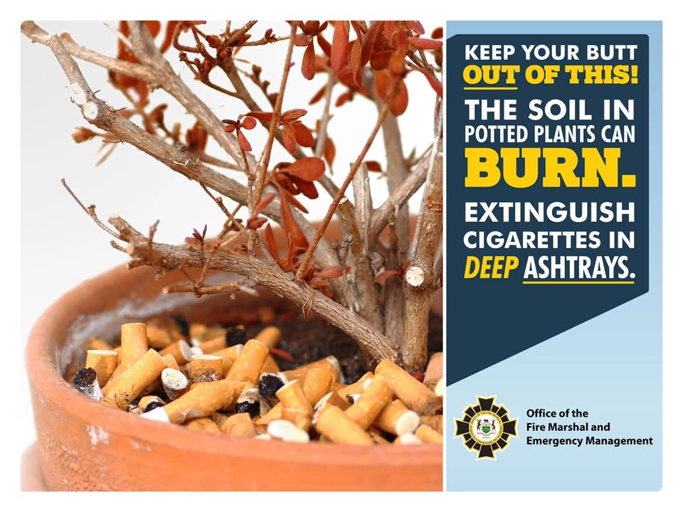 A message from the Fire Department: There has been a rise in fires caused by cigarettes being extinguished in plant pots. If you smoke:
- Always smoke outdoors
- Use a metal container with sand or water to put cigarettes out safely
- Never butt out in plant pots or on the ground