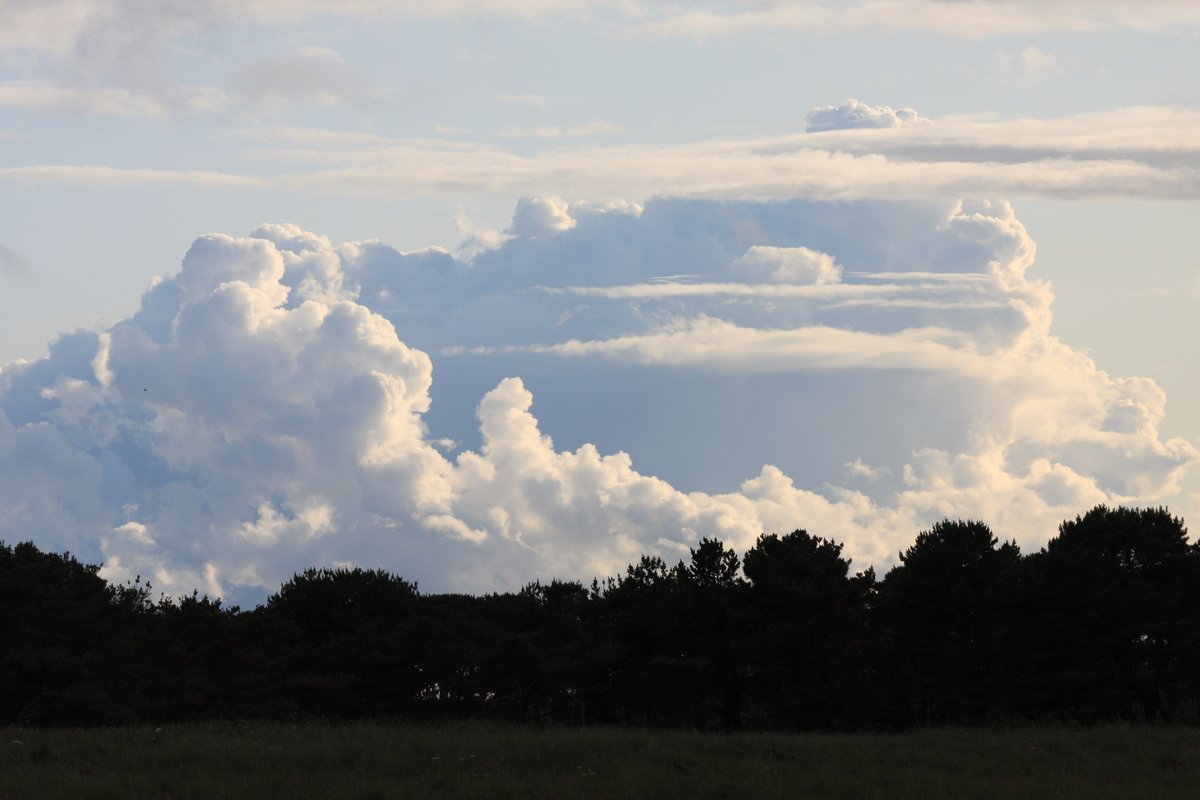 Clouds 1, trees 0

#cloudspotting