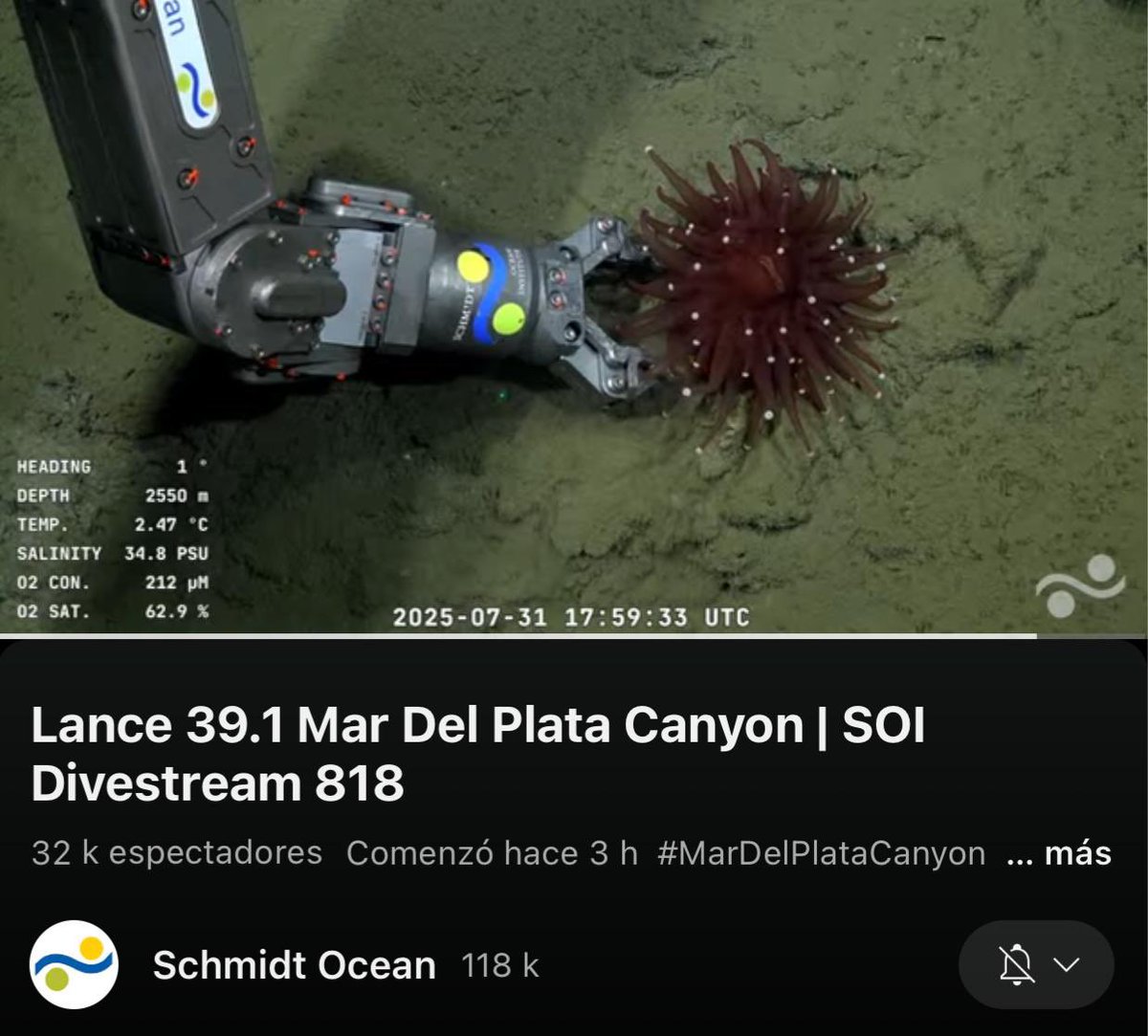 Más de 30 mil personas siguiendo en vivo el stream del CONICET. Es esperanzador ver tanto interés. Qué importante es la ciencia para el presente y el futuro de la Argentina
