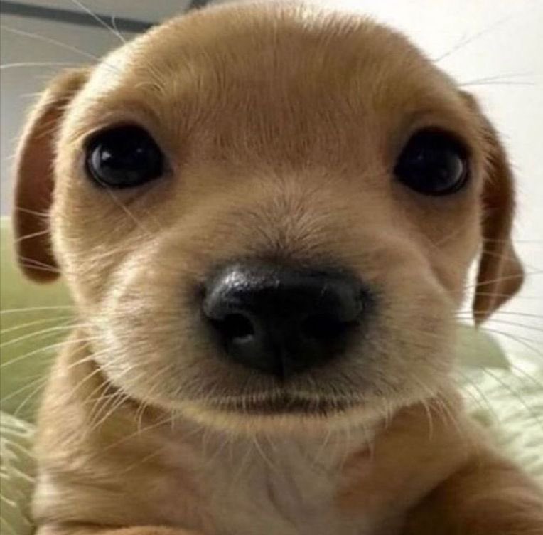 vou ir na sua casa e você vai acordar comigo te olhando assim