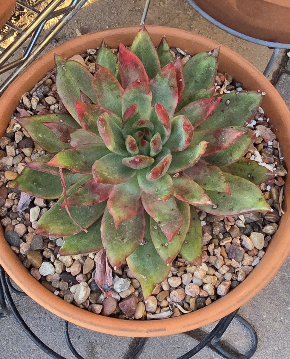 Pinceladas de la naturaleza😊✌️