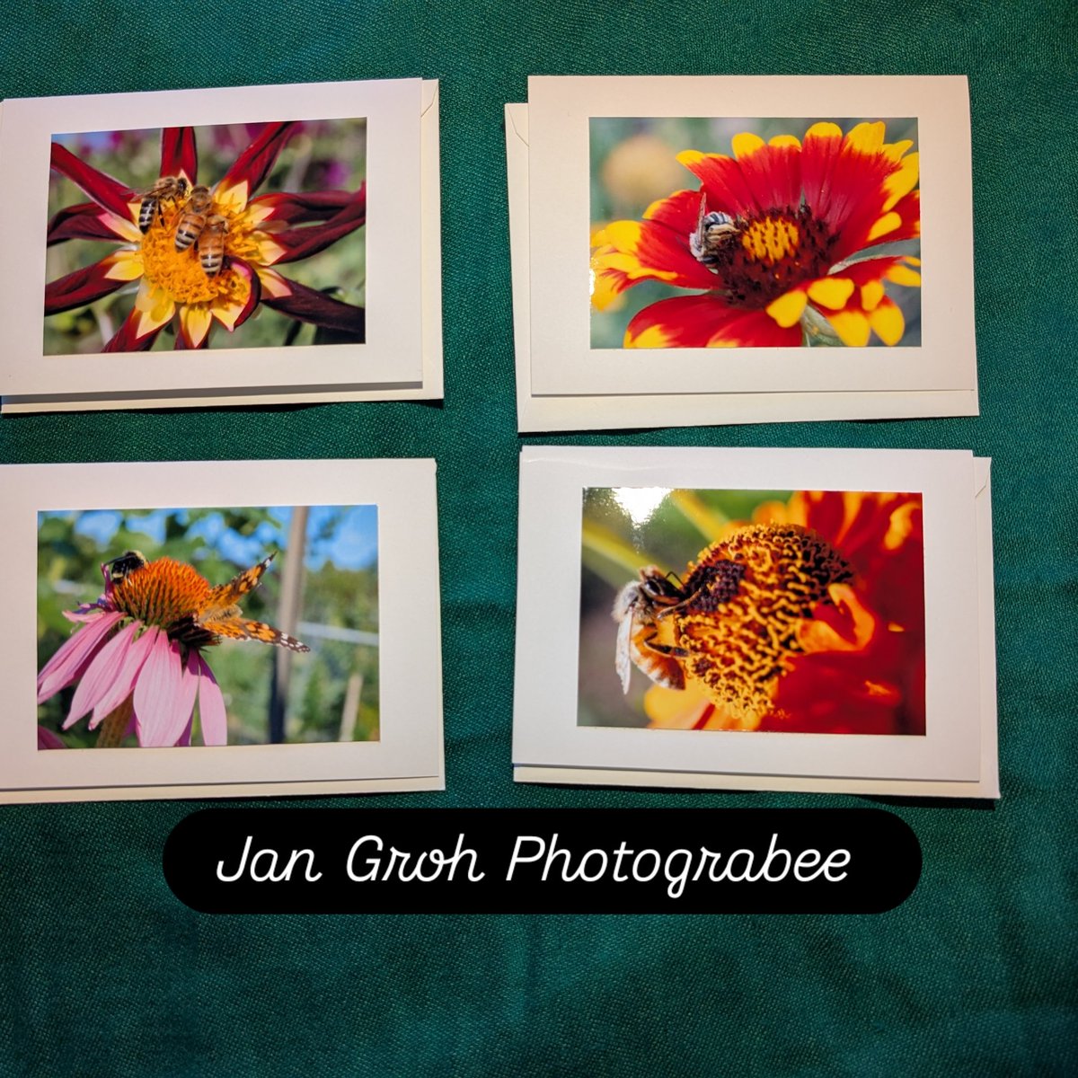 Pleased to share both of these card sets have sold already, yay! I'm off to a great start. I'm also gonna attempt to do a street fair today, first time in over 13 years since hit with my #hEDS onset  cascade. Thanks for your patience and support as I reboot. #art #photography