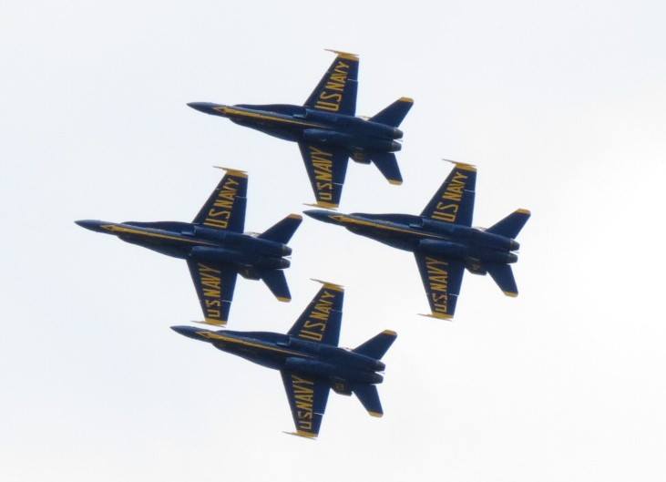 thehoffather's tweet image. Listening to the Blue Angels fly over Seattle for Seafair is even more enjoyable this year, knowing that in response to the sound of freedom, anti-American activists are losing their minds

(I took that picture from my roof in 2016)
