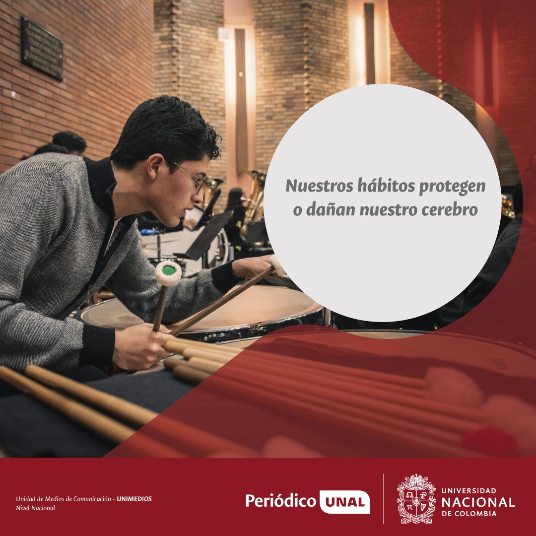 #PeriodicoUNAL | Las afecciones neurológicas encabezan las causas de discapacidad a nivel global, pero hasta un 40 % son prevenibles. Hábitos diarios como la lectura, la interacción social o aprender a tocar un instrumento fortalecen la salud cerebral.

ow.ly/NJFF50Wye9S