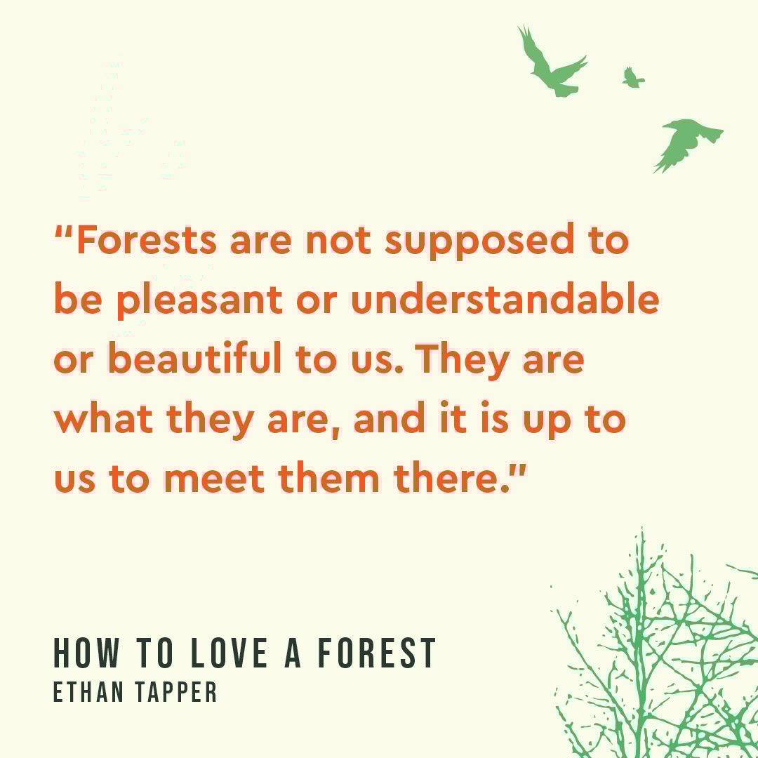 Broadleaf Books (@broadleaf_books) on Twitter photo We can’t exist without the natural world around us. How to Love a Forest walks us through the fragile and resilient community that is a forest, helping us reimagine what forests are and reconsider how we impact them. hubs.li/Q03xXQvr0 We can’t exist without the natural world around us. How to Love a Forest walks us through the fragile and resilient community that is a forest, helping us reimagine what forests are and reconsider how we impact them. hubs.li/Q03xXQvr0