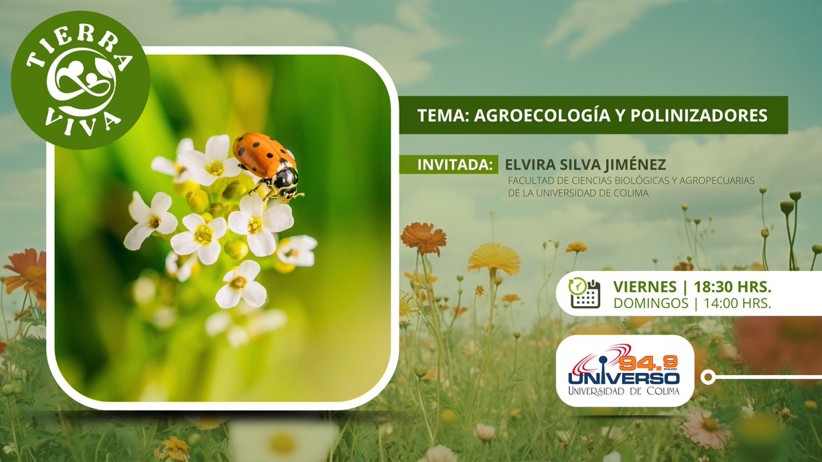 #TierraViva
En la emisión de esta semana, conversaremos sobre “Agroecología y polinizadores”, con Elvira Silva Jiménez, donde conoceremos los riesgos que enfrentan los polinizadores actualmente. 

Escúchanos este viernes 1 de agosto, a las 18:30 horas ➡️ universo949.mx