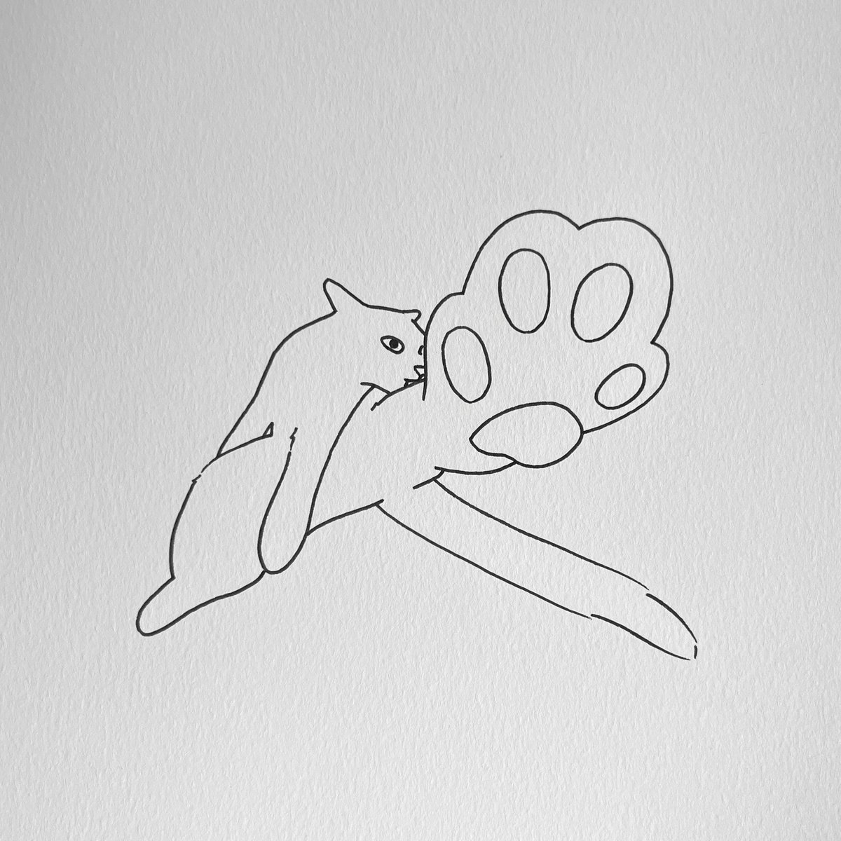 poorlycatdraw's tweet photo. beans https://t.co/hT3BqFlN2G