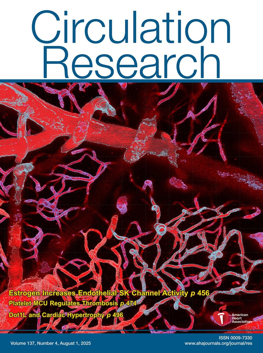Fabrice Dabertrand (@dabertrandfab) on Twitter photo 🚨Our new paper in Circ Research on the cover + 📖 editorial by Dr. Jackson 🔗tinyurl.com/2d6hxa83
👏 Danielle Jeffrey tinyurl.com/bdduwe43
♀️ Female mice show lower hippocampal tone
🌸 Estrogen-dependent, partly NO⚡️ SK channels dominate 🤝 <a href="/OsamaHarraz/">Osama Harraz</a> 💡 <a href="/LudemanCenter/">Ludeman Center</a> 🚨Our new paper in Circ Research on the cover + 📖 editorial by Dr. Jackson 🔗tinyurl.com/2d6hxa83
👏 Danielle Jeffrey tinyurl.com/bdduwe43
♀️ Female mice show lower hippocampal tone
🌸 Estrogen-dependent, partly NO⚡️ SK channels dominate 🤝 <a href="/OsamaHarraz/">Osama Harraz</a> 💡 <a href="/LudemanCenter/">Ludeman Center</a>