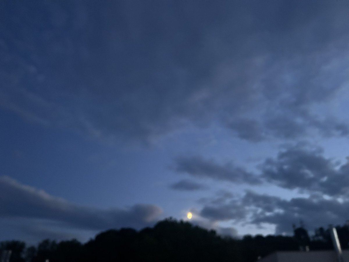Gute Nacht aus Wien Auhof meine Lieben…😌