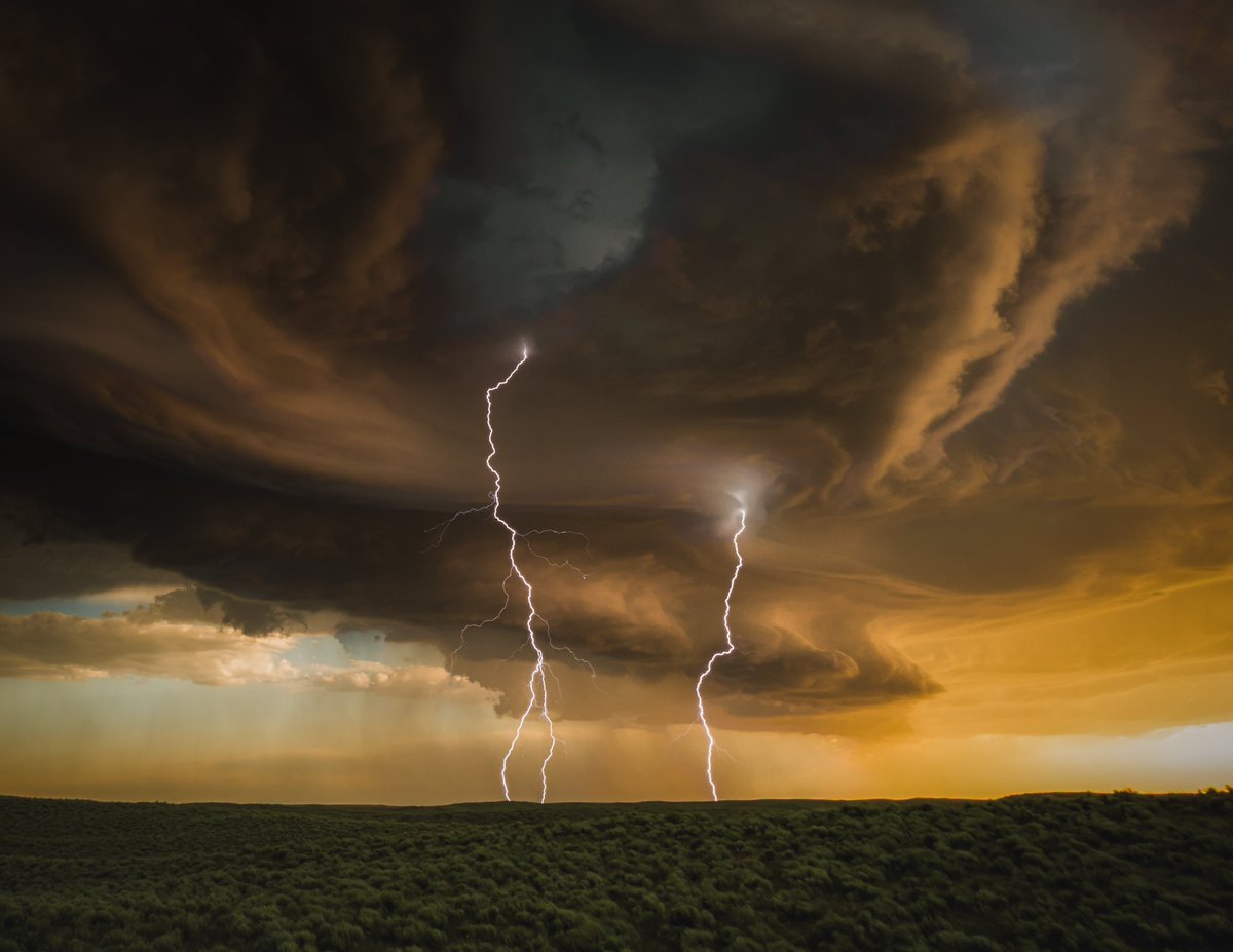 EvilBill_wx's tweet image. 