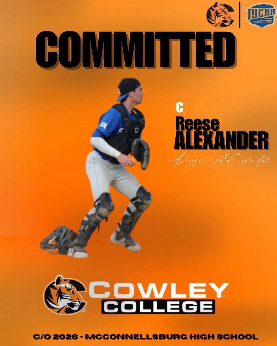 100% Committed, Go Tigers!!🐯