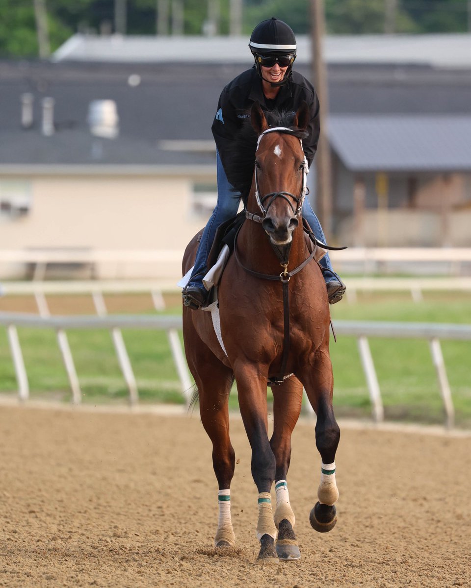 Gervais Racing (@gervaisracing) on Twitter photo Gateskeeper is locked in for Saturday at <a href="/EllisParkRacing/">Ellis Park Racing & Gaming</a>. Looking to make it back to back wins
📸: <a href="/owneycreative/">Owney Creative</a>
🏇: <a href="/Sjadecunningham/">Jade Cunningham</a> Gateskeeper is locked in for Saturday at <a href="/EllisParkRacing/">Ellis Park Racing & Gaming</a>. Looking to make it back to back wins
📸: <a href="/owneycreative/">Owney Creative</a>
🏇: <a href="/Sjadecunningham/">Jade Cunningham</a>