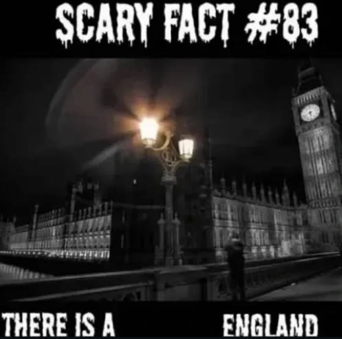 🕐HOURLY🕑 shitpost (@hourly_shitpost) on Twitter photo 