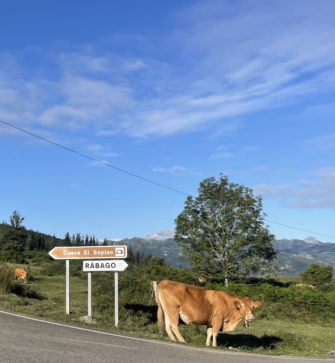 GGlezMonterrubio (@glezmonterrubio) on Twitter photo 