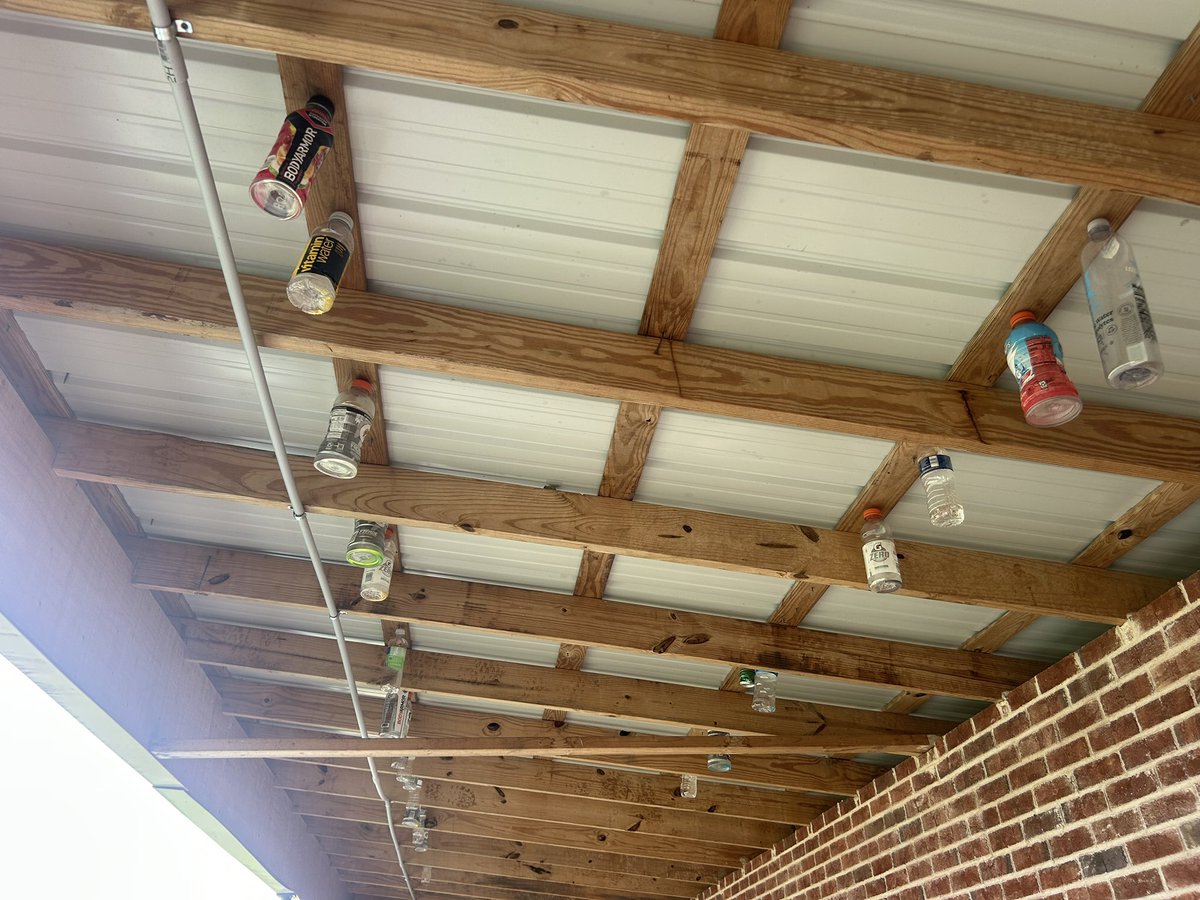 Scott Hall tweet media