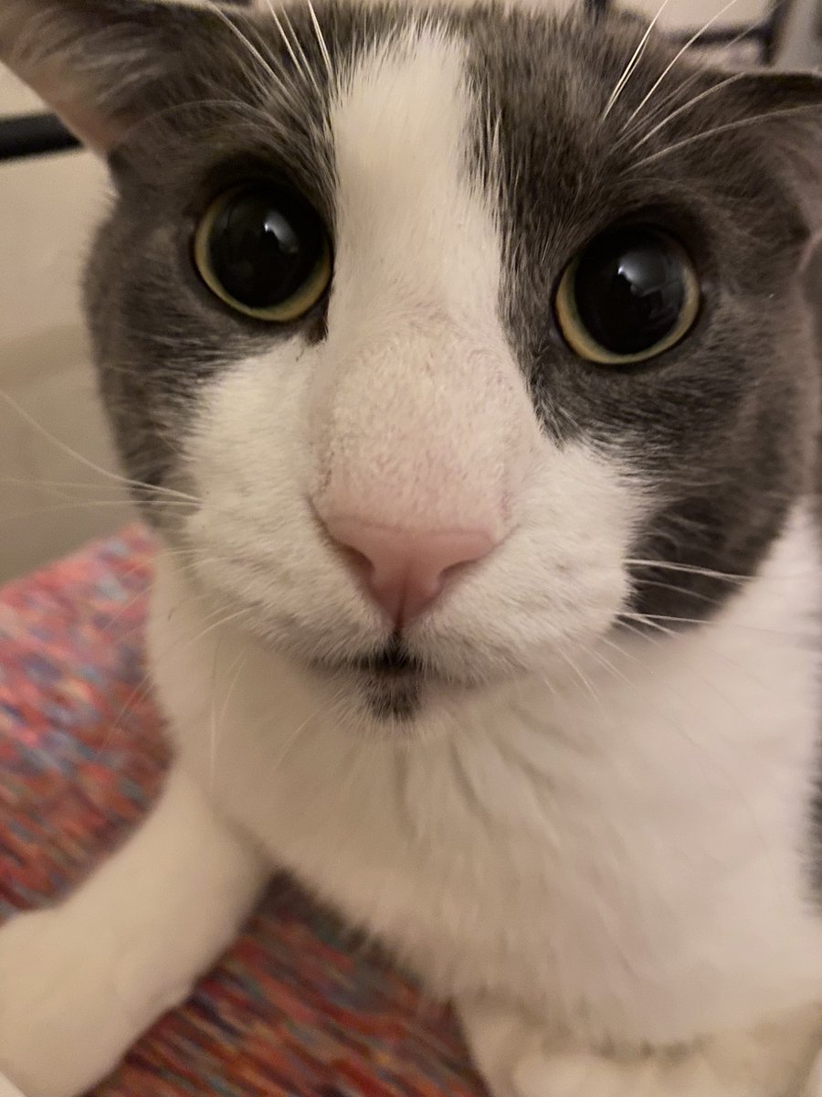 sogful's tweet image. 