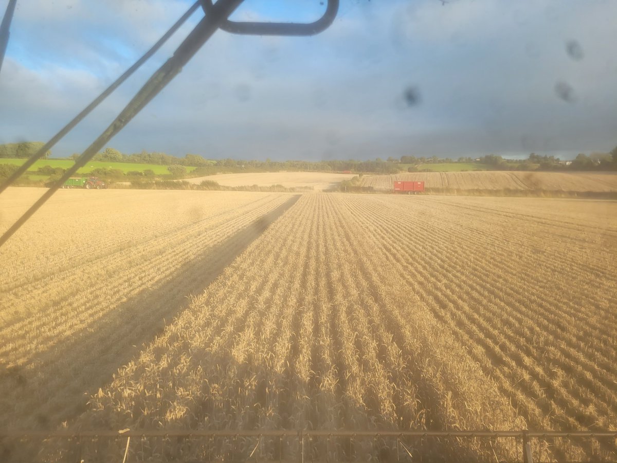 Finished harvesting wheat in July!