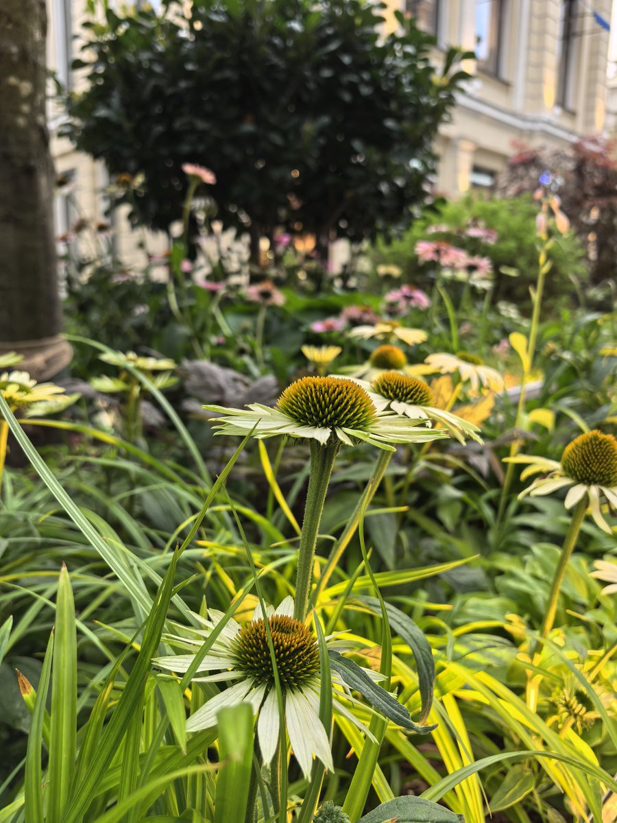 Лучший город Земли напоминает вам, что лета-леточка остался всего месяц, не теряйте время зря