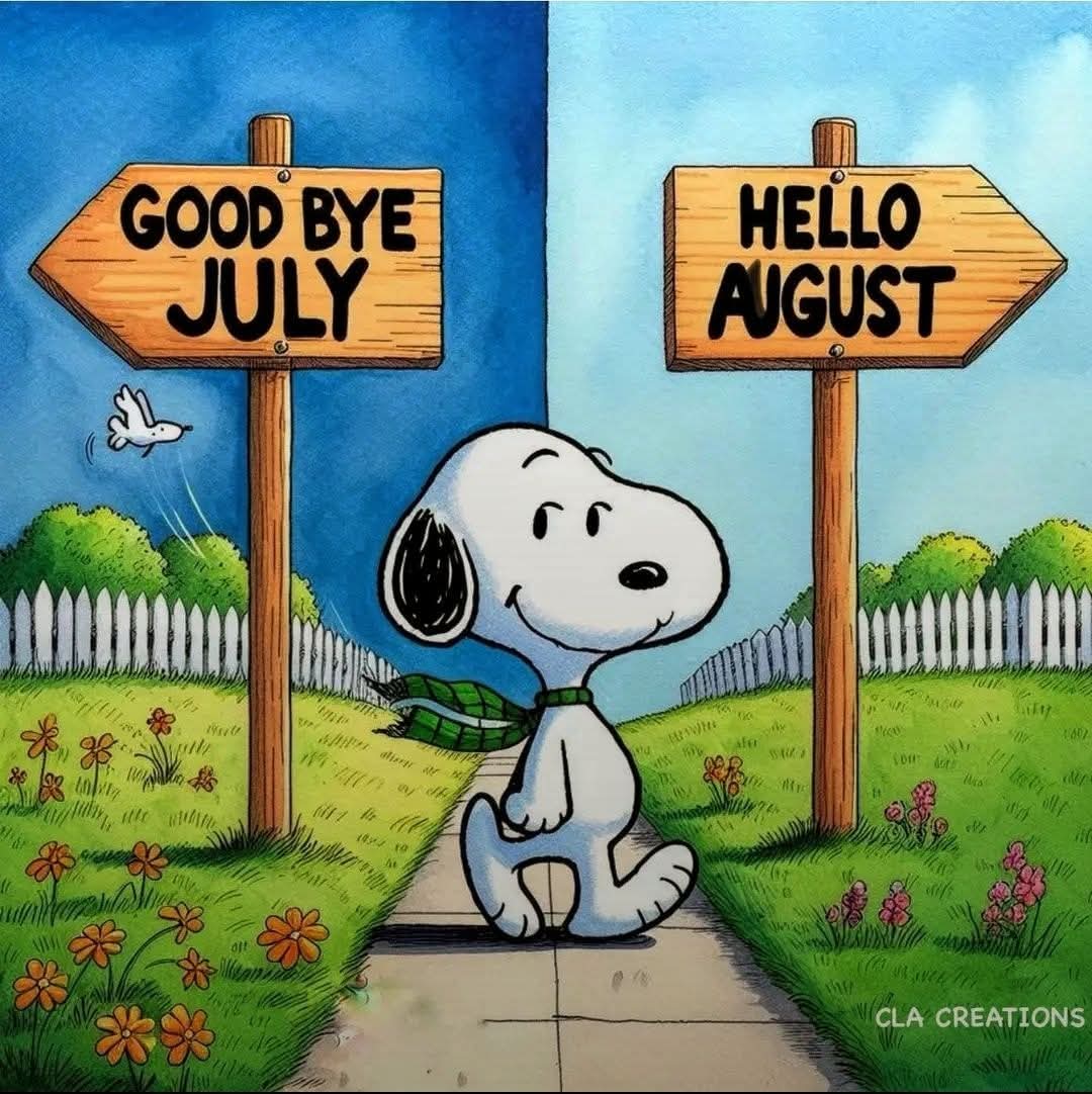 Clutter Connections tweet media